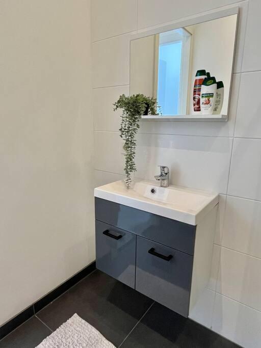 Ferienhaus Trendy 2 Bedroom Serviced Rotterdam
