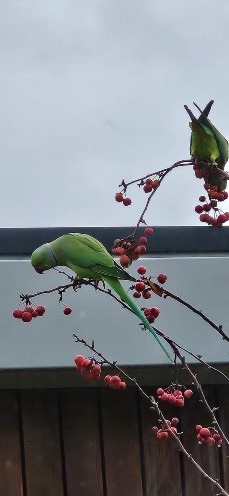 Verborgen Parel Aan De Rotte Appartement Rotterdam