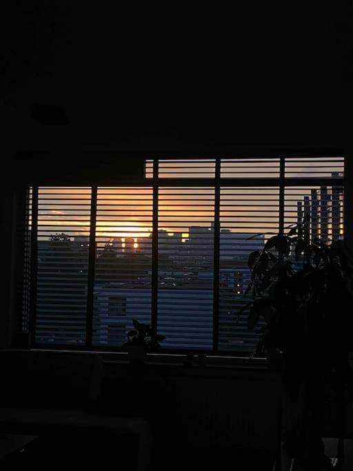 A Cosy Rotterdam