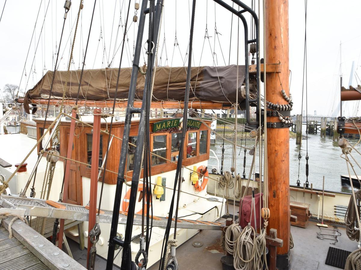 Botel Spacious Yatch Near Forest In