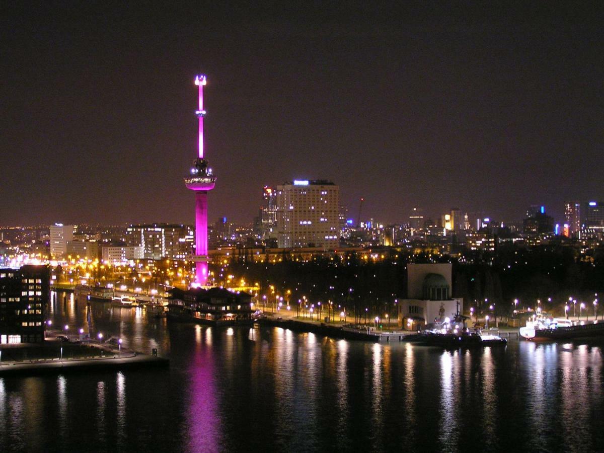 Fiona * Rotterdam